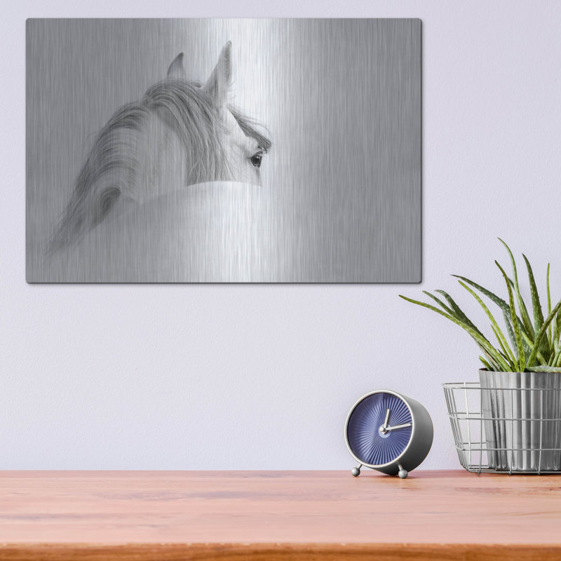 «White Horse» par PhotoINC Studio, H 12 po x l 16 po