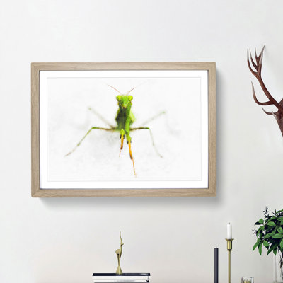Praying Mantis - Picture Frame Painting Print