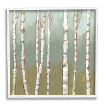 " Contemporary Birch Tree Forest Striped White Bark " by Jennifer Goldberger