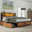 Adryon Bookcase Storage Bed-551570223