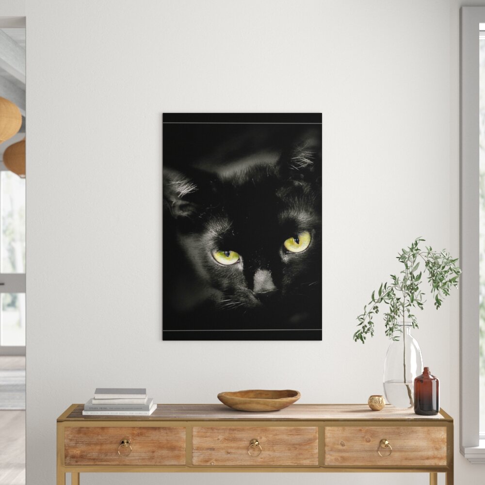 Leinwandbild Schöne schwarze Katze