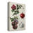 Pomegranate Composition II - Wrapped Canvas Painting-152721599