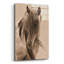 «Freedom» par Lisa Dearing - photographie sans cadre-971693367