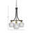 Paramount 3 Light Downlight Chandelier With 6" Glass-1141874619-1161327351