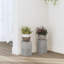 Plant Stand - Set of 2-122938322-105619919