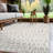 Bunny Modern High-Low Indoor Area Rug-1060421900