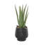 Plantes artificielles en pot 14,15 po Swanson