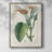 Turpin Tropical Botanicals II Framed Print - Solid Wood-777887840