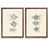 Maple Framed Set