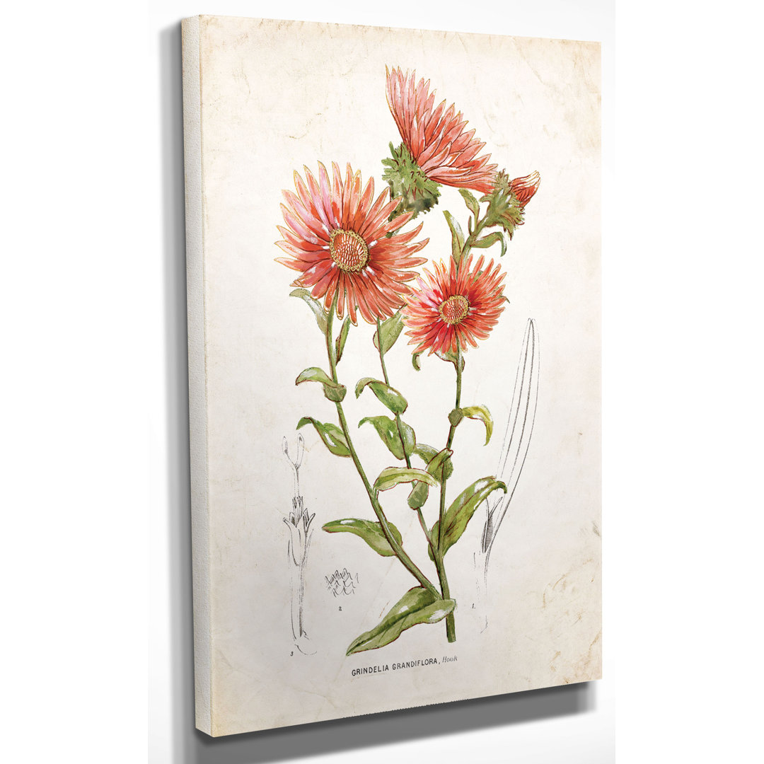 " Botanical I " by Nan August Grove® 