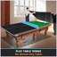 Plateau de table de tennis de table pliable et portable de 8,5 pi de taille moyenne pour jeux d'intérieur-124823455-124823452
