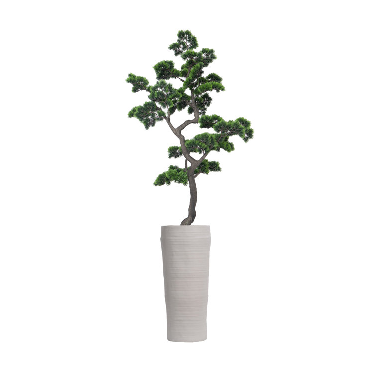 76" Artificial Faux Bonsai Tree In A Tall White Planter