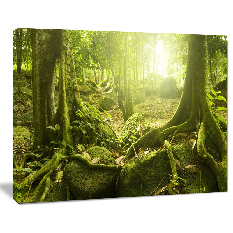 «Forest with Sun Landscape» par Designart, reproduction de photo sur toile 2 pièces, H 30 po x l 40 po