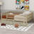Sherilynn Daybed-816256250-816256254
