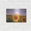 «Sunflower Sunset» par Donnie Quillen