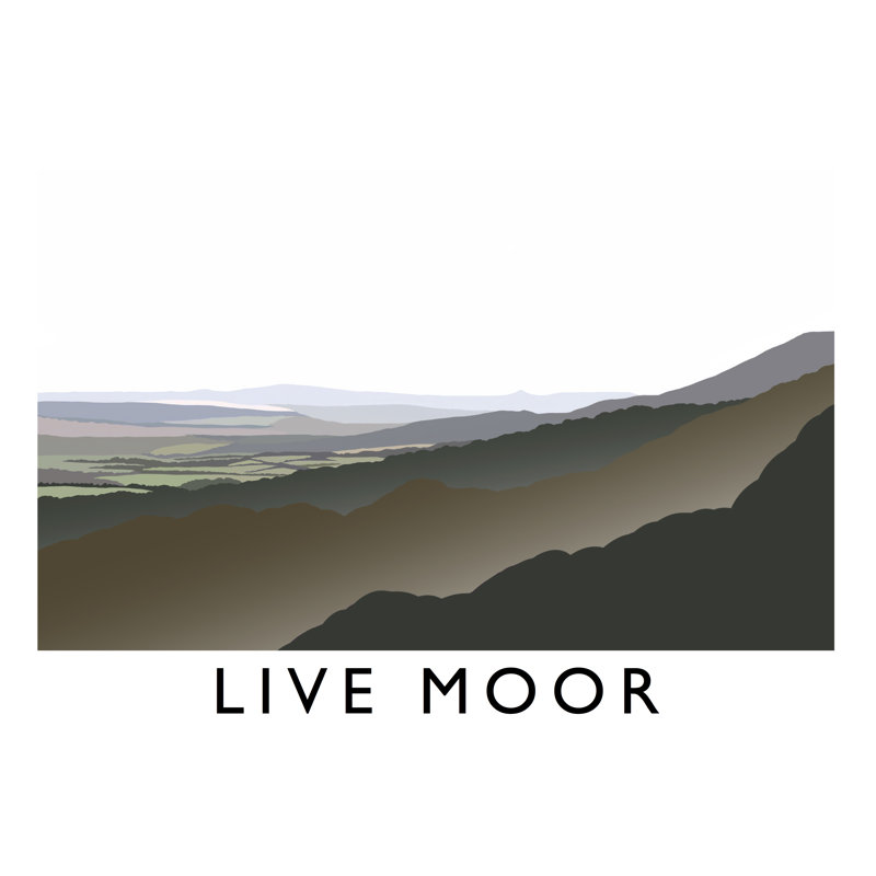 Live Moor 1 Piece Wall Art, 30 cm H x 40 cm W x 1 cm D, No Frame