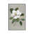 White Framed is unavailable