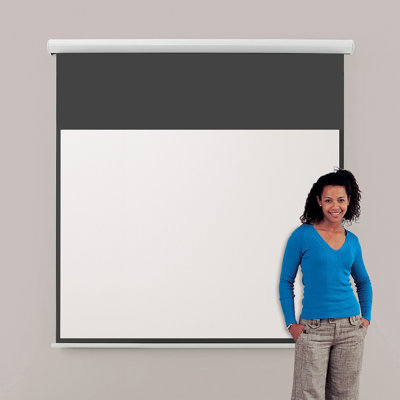 Symple Stuff Electric Projector Screen Projector Screen