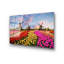 Boze Wall Decor