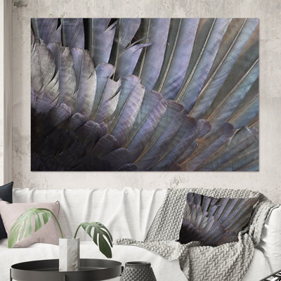 Plumes noires et blanches - Photographie sur toile