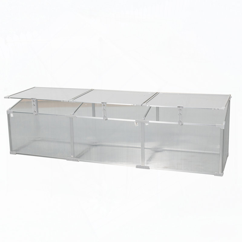 Serre en polycarbonate pour l'extérieur en hiver