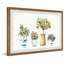 Little Orange Trees - Single Picture Frame Painting-83477433