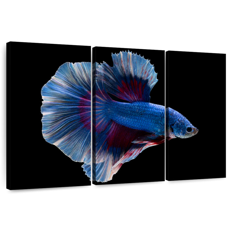 Brampt Elegant Blue Betta, 42" H x 65" W