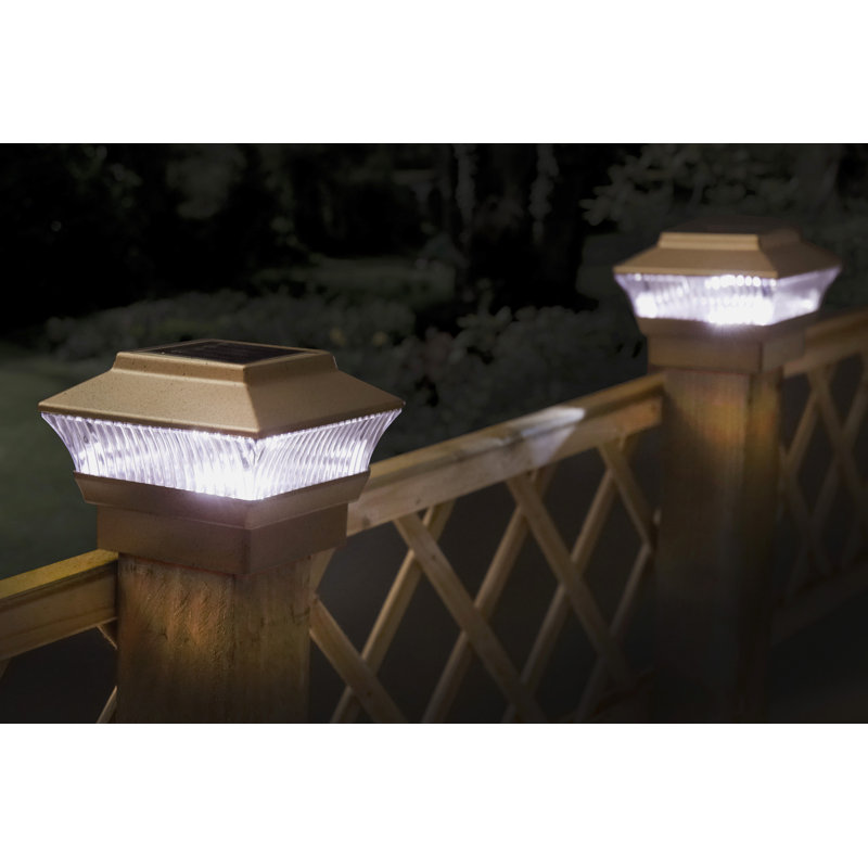Cardiff LED Decorative/Accent Lights
