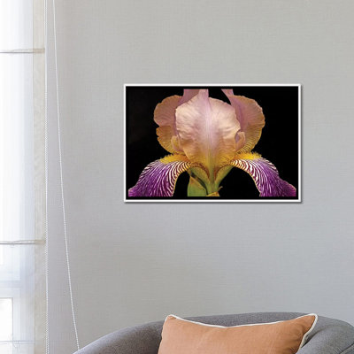 «Iris Colors» par Brian Wolf - reproduction de photo