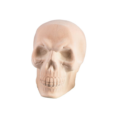 Statue de tête de mort en forme de tête de mort en forme de crâne blanc en forme de tête de mort de taille adulte The Holiday Aisle® pour Halloween, décorations des fêtes et centres de table