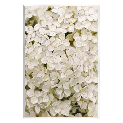 Blanc délicat hortensia, estampe numérique par Ziwei Li