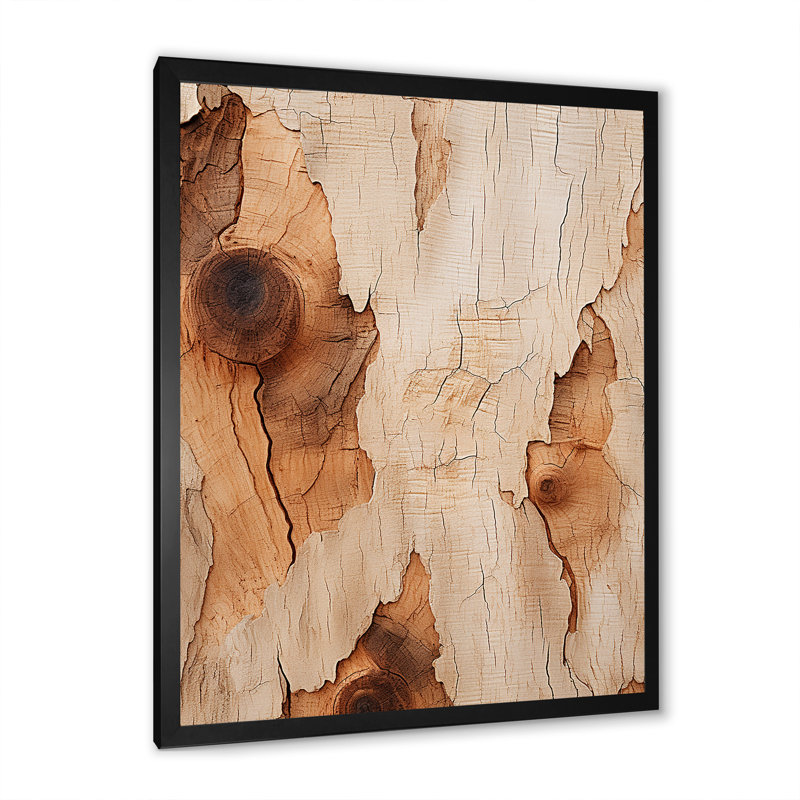«Brown Tree Bark Essence 4», art mural arbre, Cadre simple noir, H 20 po x l 12 po x P 1 po