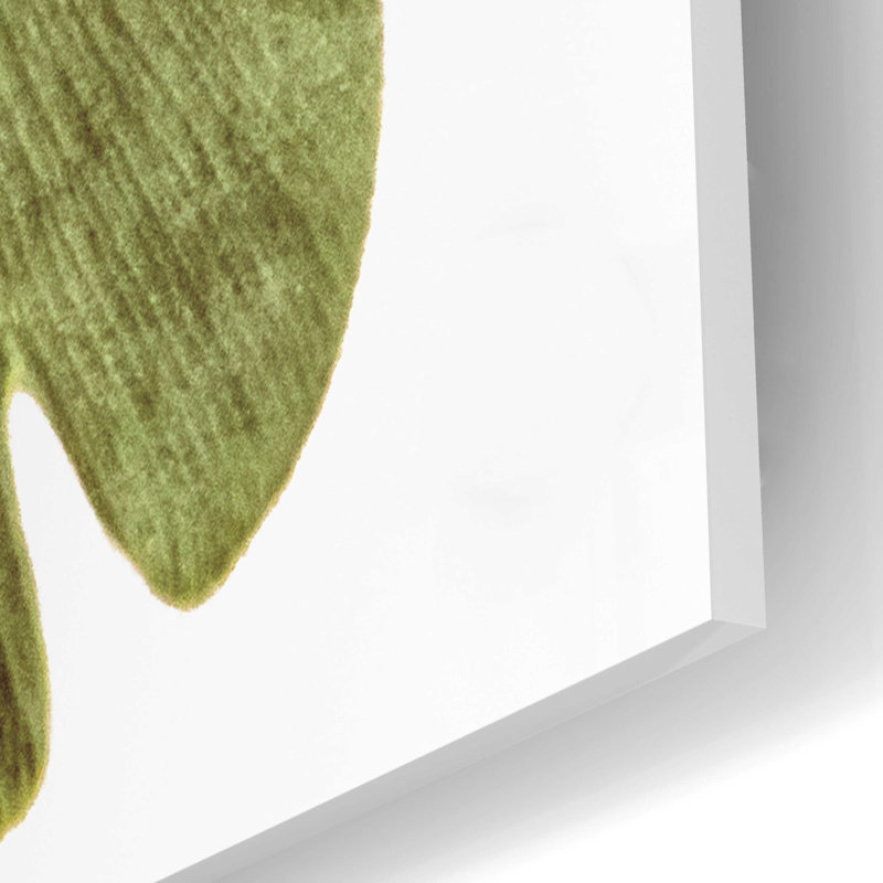 «Ginko Color on White» par Debra Van Swearingen - photographie sans cadre, H 16 po x l 12 po x P 0,13 po