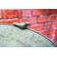 Maymie Metal Birdbath