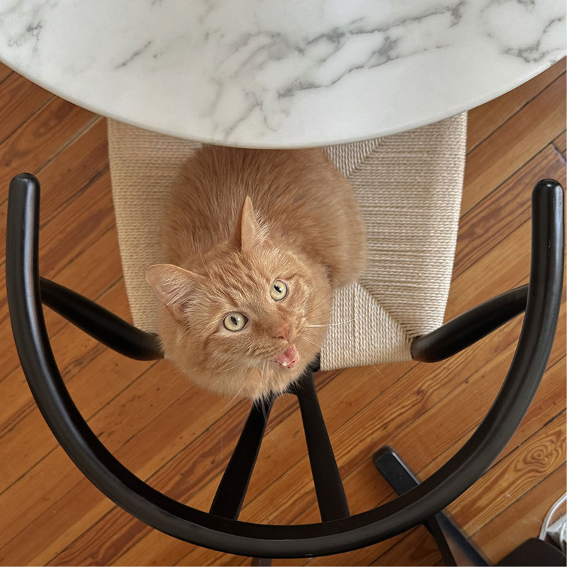 Wishbone Counter Stool