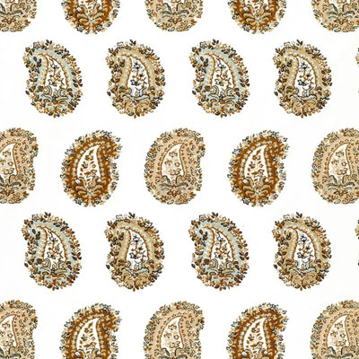 Arklow Paisley Fabric