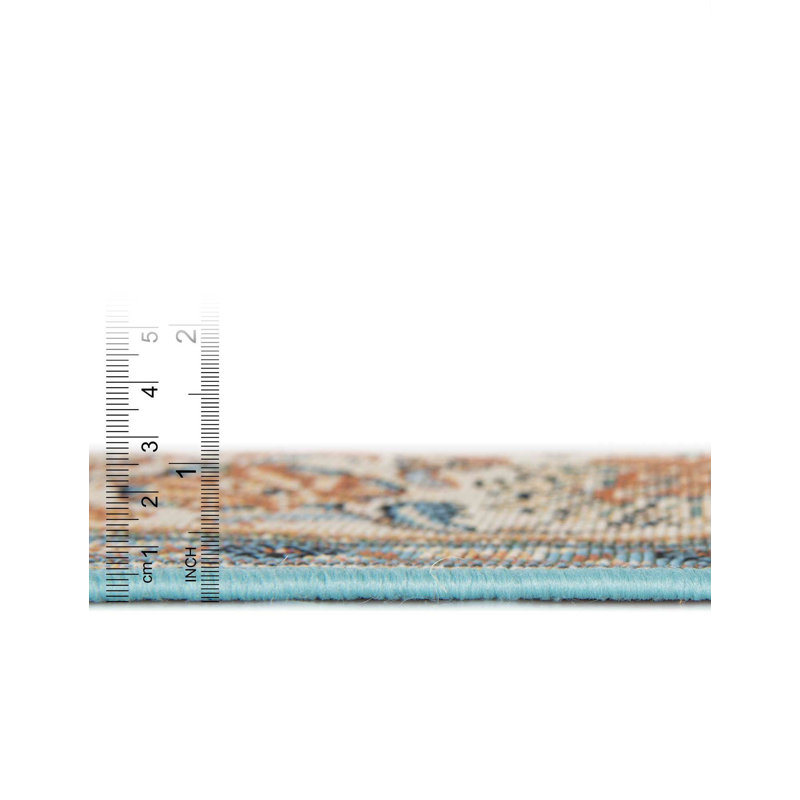 Indoor/Outdoor Traditional Area Rug, Rectangle 5'3" x 8'