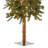 Hickory Cedar Tree-1923807230-1964803448