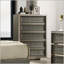 Commode à 5 tiroirs de style contemporain avec dessus doublé de feutre, finition gris foncé et motif de feuilles élégant pour des solutions de rangement modernes