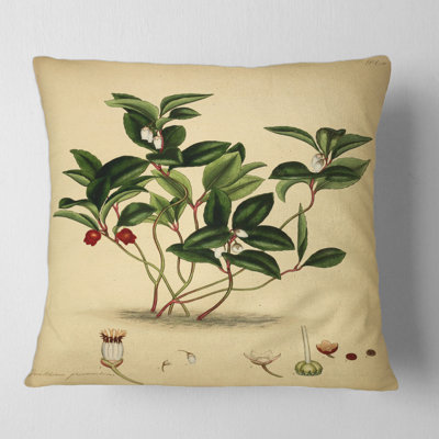 Housse et insert de coussin carré Plant Life III