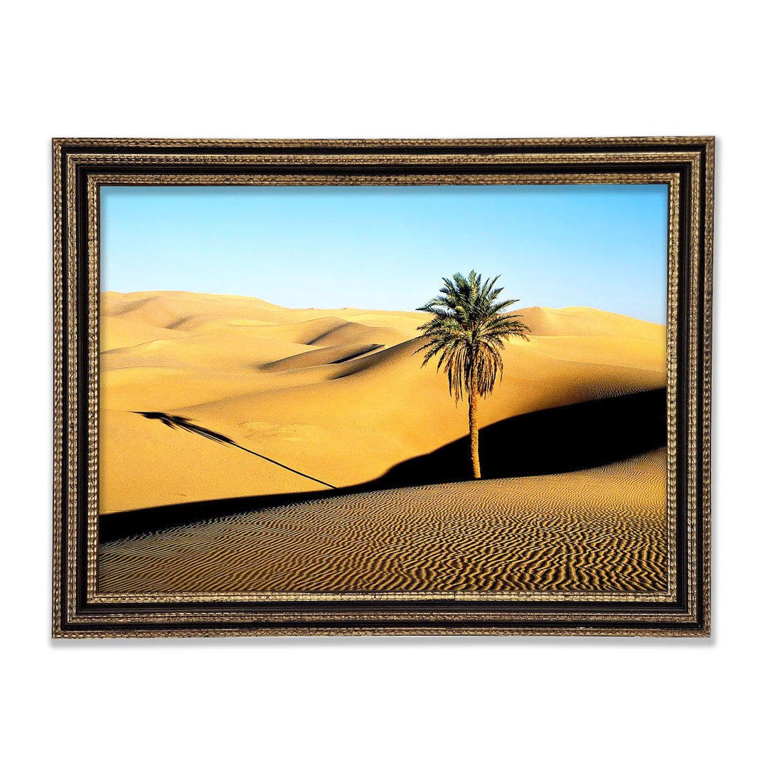 Desert Palmtree Gerahmter Druck