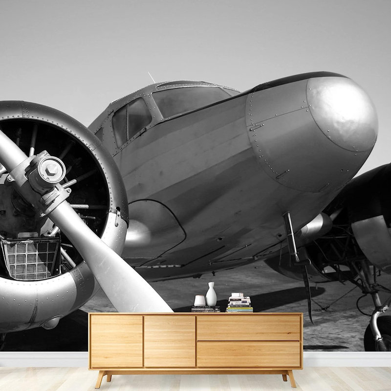 Murale à peindre rétro avion bimoteur, L 66 po x l 96 po
