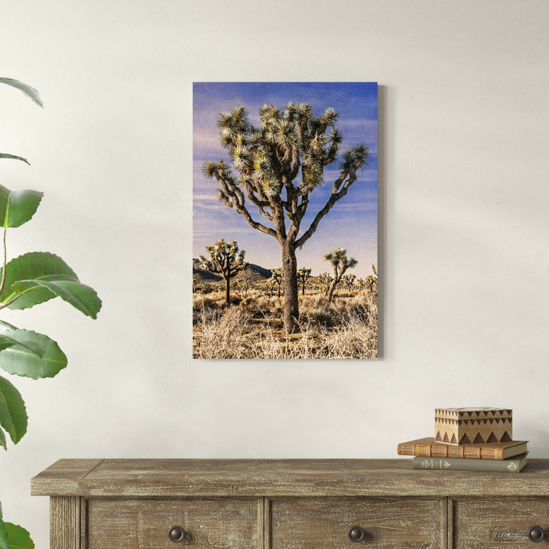 Vue de Joshua Tree IV, H 30 po x l 20 po x P 1,25 po