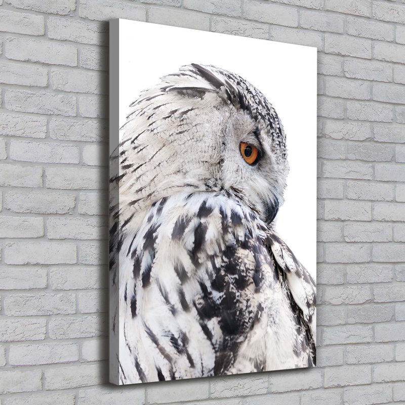 White Owl - Wrapped Canvas Print
