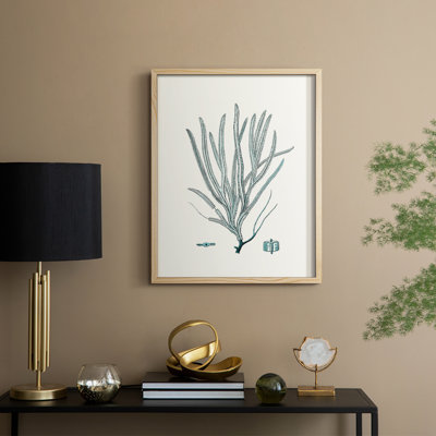 Antique Coastal Coral VII, reproduction encadrée - bois massif