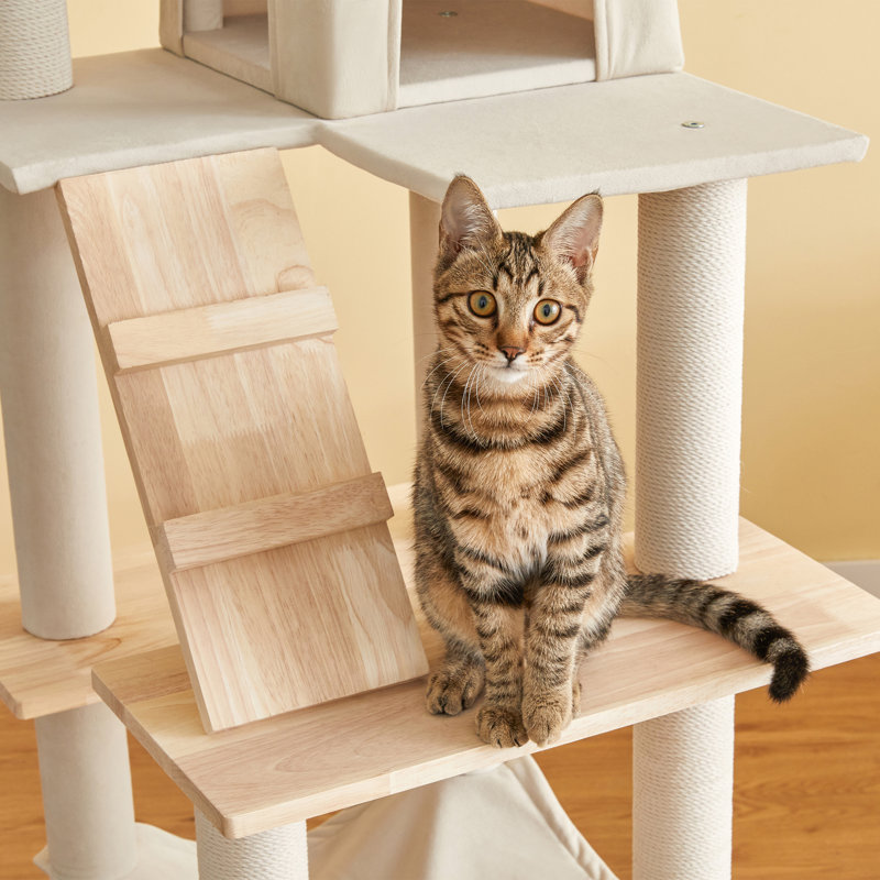 Arbre à chat 63,8 po H Derrelle, Beige