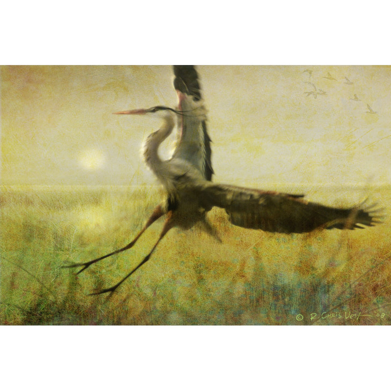 Foggy Heron II by Chris Vest - Wrapped Canvas Print, 81cm H x 122cm W
