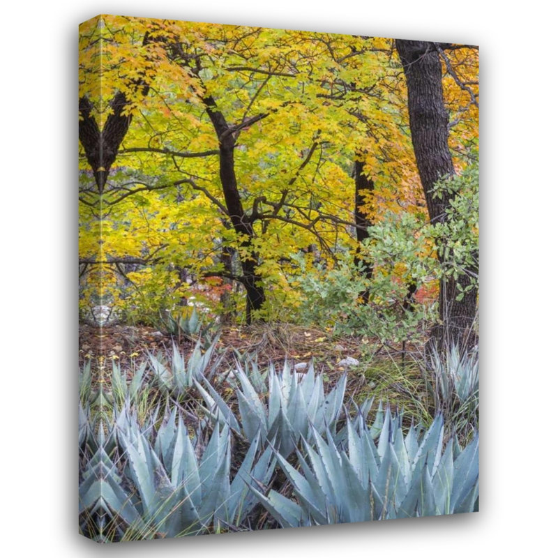  Art sur toile tendue, Paulson, Don, 44" H x 60" W