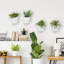 Self-Watering Wall Planter