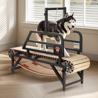 Stellweilan Tessberg Dog Treadmill for Medium Dogs up to 220 lbs Indoor Pet Running Machine